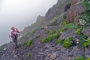99 Scendiamo nella nebbia ma con i fiori !